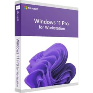 Licencia Windows 11 Pro Workstations
